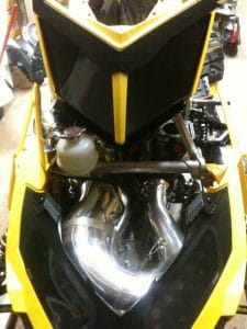 Robin 8431